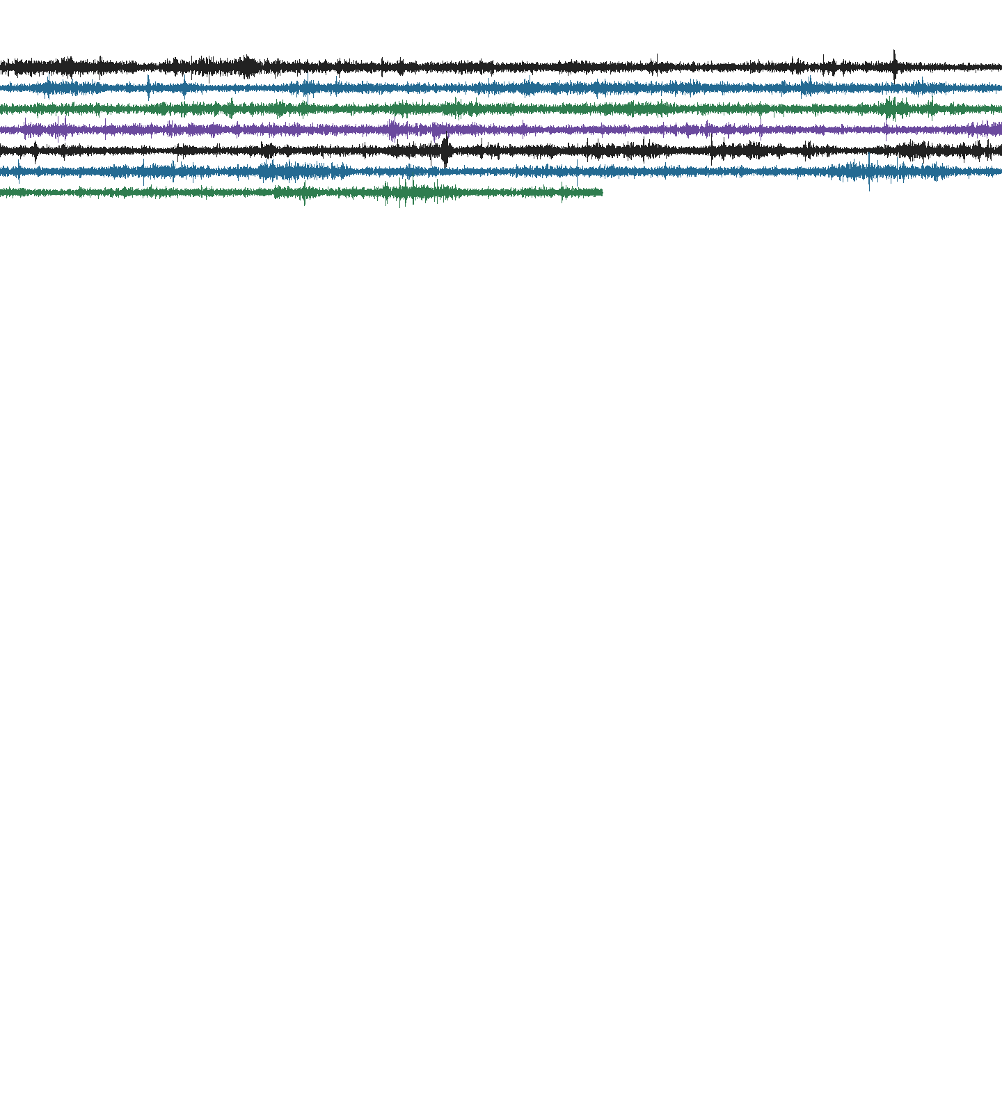 Heliograph from this station's seismograph:
                         one trace every fifteen minutes, half a day