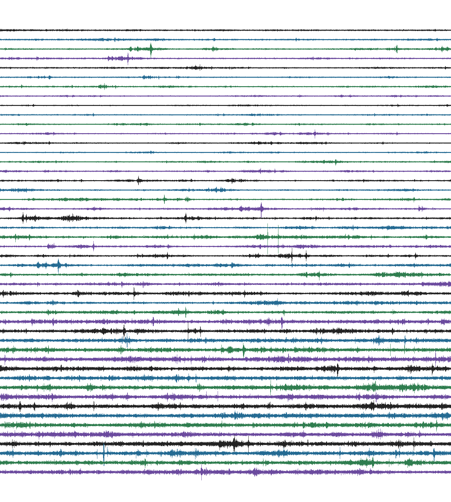 Plate from this station's seismograph:
                         one trace every fifteen minutes, half a day