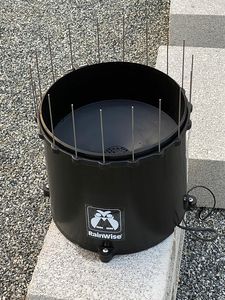 A black RainWise tipping-bucket rain gauge with a wire bird guard around the rim, standing on a concrete block.