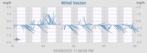 Wind Vector